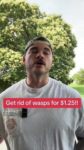 Get Rid of Wasps for $1.25 with This Dollar Store Hack