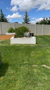 283K views · 1.9K reactions | Leveling my lawn using sand and a reel mower #lawncare #lawnmaintenance | Davey Struggle | Facebook