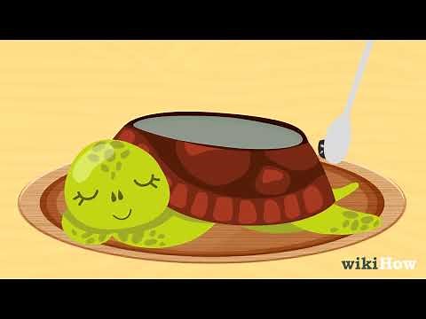 How to Grow a Chia Pet