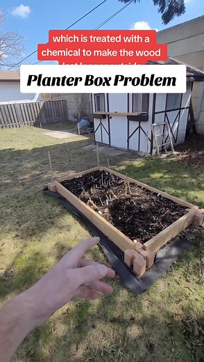 This is a common problem I see! People build planter boxes with pressure treated lumber which is treated with a chemical to make the wood last longer outside. That chemical seeps into the soil and vegetables you are growing / eating. Make sure your build planter boxes out of non treated lumber or use a liner! #diyproject #diyhomeprojects #diyhomeimprovement #planterbox #planterboxgarden #planterboxes #diyplanter #gardendesign #gardeninglife #gardeninglove #gardeningtips #diygarden #vegtables #gr