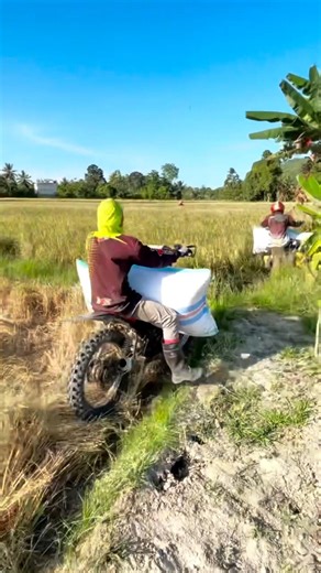মোটরসাইকেল দিয়ে ইন্দোনেশিয়ায় ফসলের জমিতে কাজ করে | Motorcycle Farming