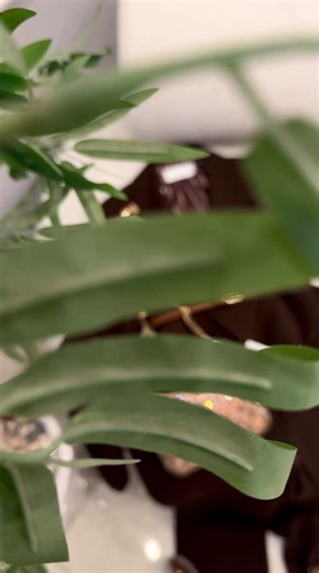 New look…..🤎🤎🤎 | New LOOK 2021