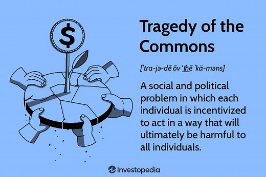 Understanding the Tragedy of the Commons in Economics: Causes and Solutions