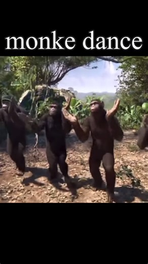 Dancing Monkey Meme Compilation