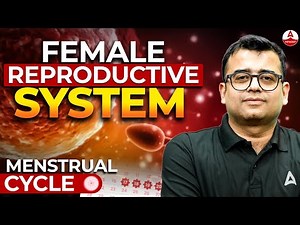 Female Reproductive System | NEET 2025 | Human Reproduction Class 12