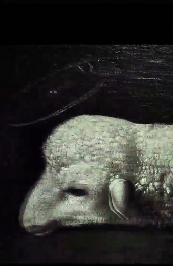 Behold the Lamb of God who takes away the sin of the world