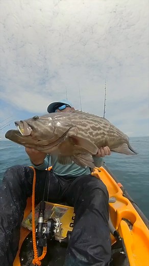 67K views · 929 reactions | Jigging for Big Grouper Offshore on Kayak! #jigging #big #grouper #offshore #kayak | Ryan Iz Fishing | Facebook