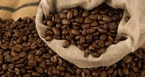 Simple Steps To Growing Coffee – Even Where You Live - Off The Grid News