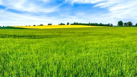 三星洗衣机显示OE怎么办三星洗衣机维修中心|24小时全国统一售后受理中心电话4008884959