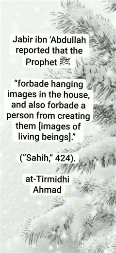 Forbade hanging images in the house