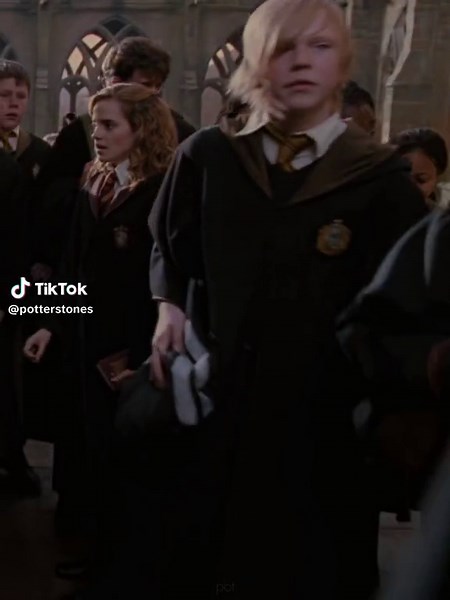 Exploring Harry Potter Characters in Batman Begins