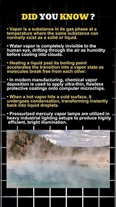 Surprising Facts About Vapor (The Invisible Gas That's All Around You) 😲 | Water Cycle & Science