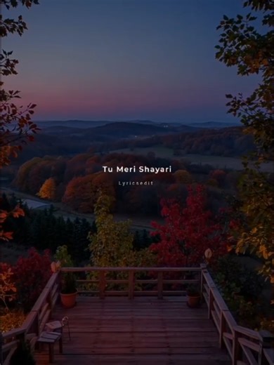 Tu Meri Shayari 🥰❤️🎶 #reels #lyrics #bollywoodsong #sad #trending