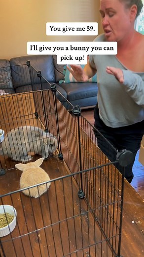 Rabbit Pals on Instagram: "You can now train YOUR bunny to ENJOY being picked up. This is the same 2️⃣5️⃣ training exercises we use! This first five exercises will prepare you, and teach your bunny its name. Then we dive right into bunny care. ⬇️ Immediate Download Here ⬇️ https://payhip.com/b/Kor3Z You can find ALL our training manuals here: https://payhip.com/RabbitPals Including the 🆓 download!! #rabbits #bunnies #petbunny #petrabbit #smartbunny"