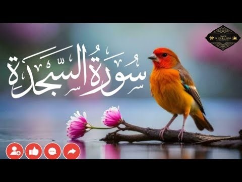 Surah As-Sajdah with English Translation | Full Quran Recitation & Meaning 🕋📖
