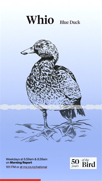 Today's winner of Morning Report's custom bird call competition was Andrea from Wellington who correctly guessed that the notable voice was that of actor Sam Neill. Tune in tomorrow at 6.59am for your chance to win! | Morning Report | Facebook