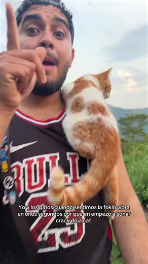 The cat so cute #doja #needtoknow #dojacat