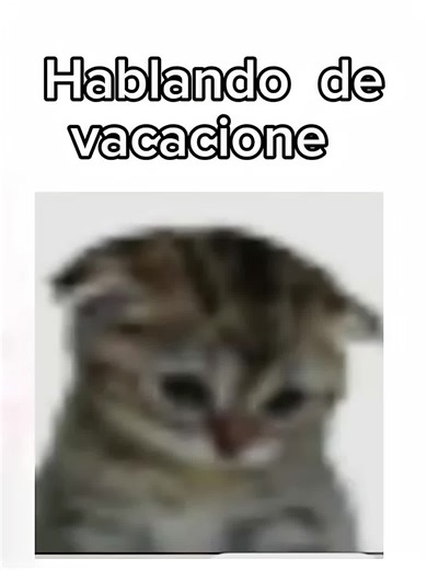 Cómo sobrellevar el regreso a clases sin deprimirnos