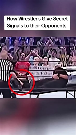 Wrestlers' Secret Signals Explained