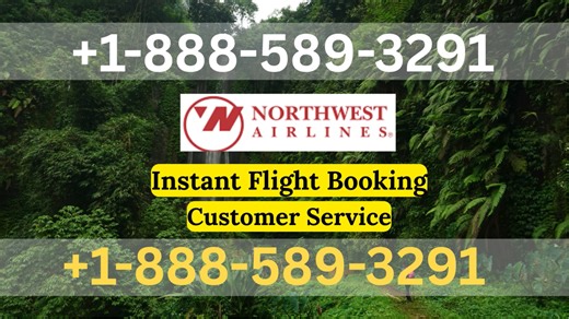 Northwest Airlines®®Customer Service Official Guide || Step-by-Step Help & Support Northwest Airlines