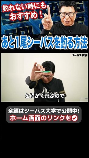 あと1尾シーバスを釣る方法！ #シーバス釣り #シーバス初心者 #シーバスルアー