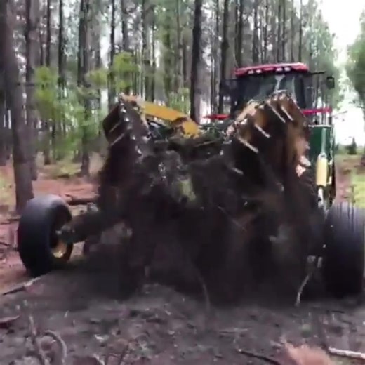 Rips out stumps like a boss! #machines #stumps #cooltools #trees #forestry | David Ball