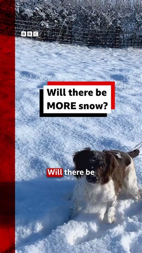 BBC News UK on Instagram: "Schools closed, trains were cancelled and flights delayed as parts of the UK woke to snow on Monday. But how long is it expected to last? Yellow warnings for snow and ice are in place across much of the country. Tap the link in @BBCNewsUK's bio for the latest updates and forecast. #BBCWeather #BBCNews"