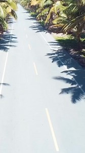 Carretera Nagua, es un lindo recorrido por la ruta de los cocoteros! María Trinidad Sánchez es una de las 32 provincias de la República Dominicana, localizada en la costa norte del país. El municipio cabecera de la provincia es Nagua. | Viaje Soñado a República Dominicana