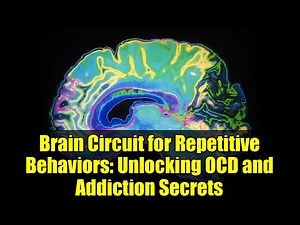 Brain Circuit for Repetitive Behaviors: Unlocking OCD and Addiction Secrets