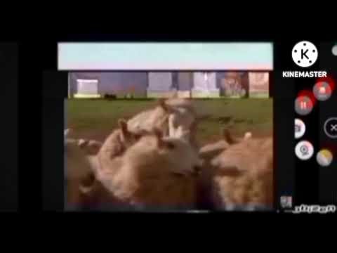 Candle Cove Screaming Episode (MY VERSION V27)