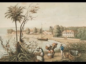 Texas in the Age of Revolutions-Texas History #16