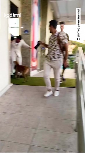 1.2M views · 10K reactions | Quando Tamiris e Douglas sono usciti dalla chiesa per la prima volta come marito e moglie questo cagnolino è stato il primo a festeggiarli e gli sposi hanno così deciso di adottarlo. | Kodami | Facebook