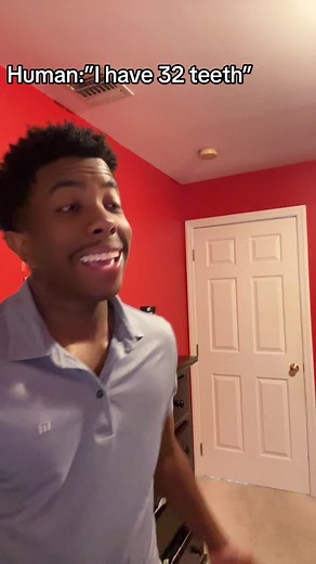 Exploring the Fascinating World of Turtle and Snail Teeth