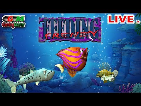 Feeding Frenzy | Eat Fish GamePlay | Let's Play Online PC Game