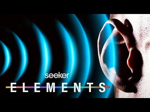 Noise Is Slowly Killing You