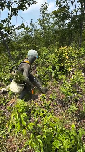 138K views · 4.6K reactions | AQ #14: What is your incentive in...