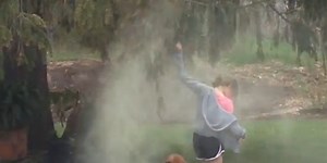 Here's why pollen makes people sneeze