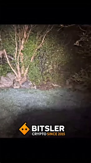 Factpik on Instagram: "Double tap on the post if u like it ❤️ 👥 Tag a friend to show this 🔔 TURN ON POST NOTIFICATION ☑ Follow for more... . . . . CREDIT:- ?? DM FOR CREDIT OR REMOVAL REQUEST (no copyright intended for footage video and music ) ©️ All rights and credits reserved to the respective owner(s) . . #fact #facts #didyouknow #instafacts #science #dailyfacts #knowledge #viral #facts #AI #motivation"