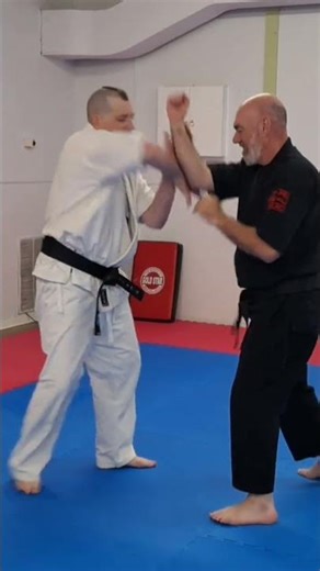 Jitte Kata - Bunkai Flow #karate #bunkai #jitte #martialarts