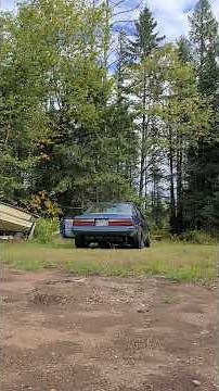 351w promaxx 210 heads, flat top pistons, stage 5 track max cam