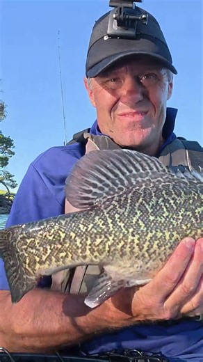 Cod Season Opening Catch #murraycod #lurefishing #kayakfishing