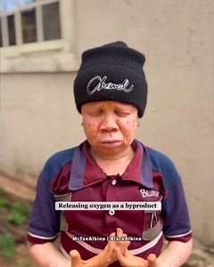 A IoveIy famiIy that knows how to train chiIdren | Albino Brothers