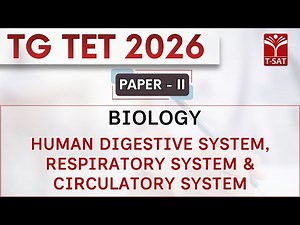 TG TET 2026 - PAPER-2 | Biology - Human Digestive System, Respiratory System & Circulatory System