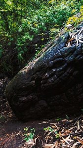Naka Cave’s Rock Serpent: A Living Legend #NakaCave #rockserpent #ThailandMysteries #nagalegend #NatureWonders | Ancientzen Library