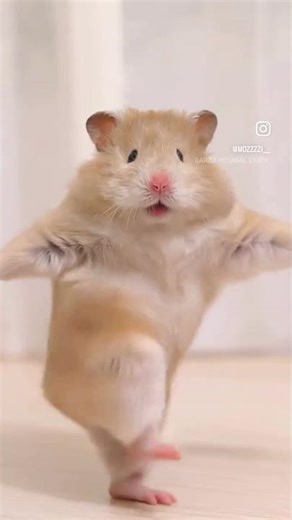 Little dancing bunny 🐰 #bunny #bunnies #cartoonvideo #dance #dancevideo #ai #asmrsounds #dancer