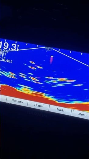 BIG SCHOOL OF CRAPPIES ON PANOPTIX! #fishing #icefishing #outdoors #crappie