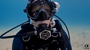 7.6K views · 125 reactions | Shooting underwater, Paul Nicklen, Sony...