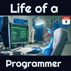 62K views · 310 reactions | Life of a Programmer! | I am Programmer, I have No life | Facebook