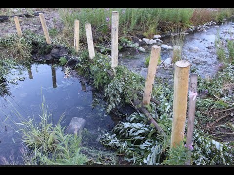 2025 Phase 1 Headwaters Restoration at Tolan Creek