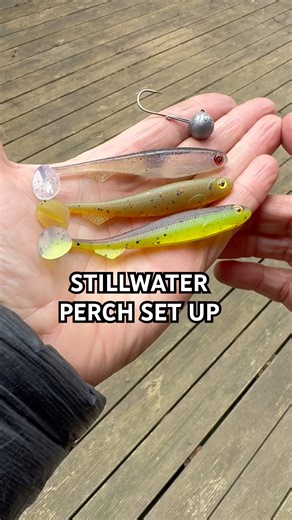 Stillwater Shads - Perch fishing with lures tips and tactics #perchfishing #lurefishing #fishingtips